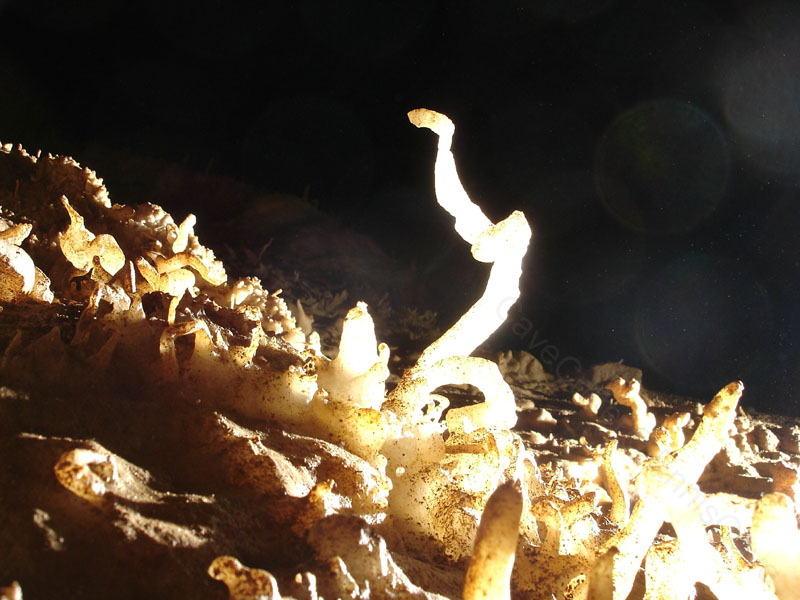 EC-EM-CR-Helectites1
