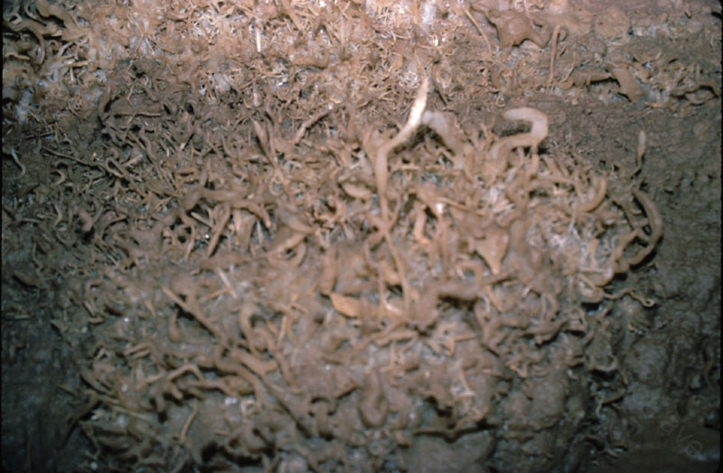 EC-EM-CR-Helectites18