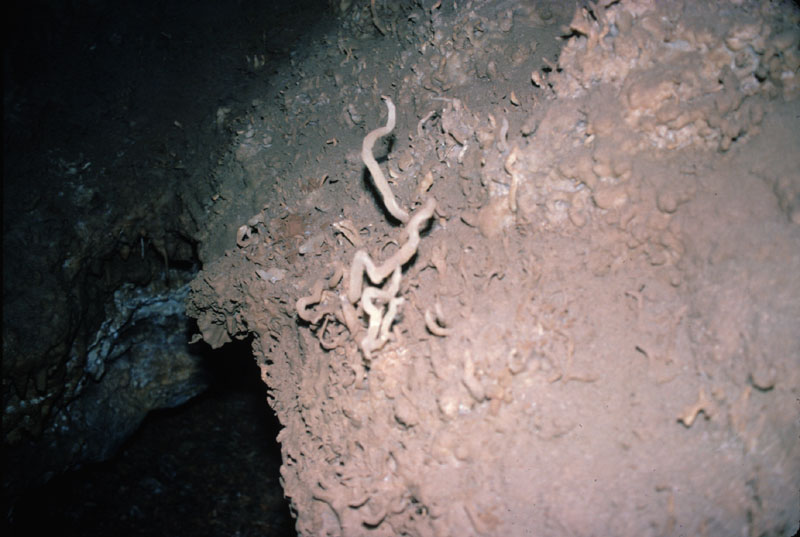EC-EM-CR-Helectites19
