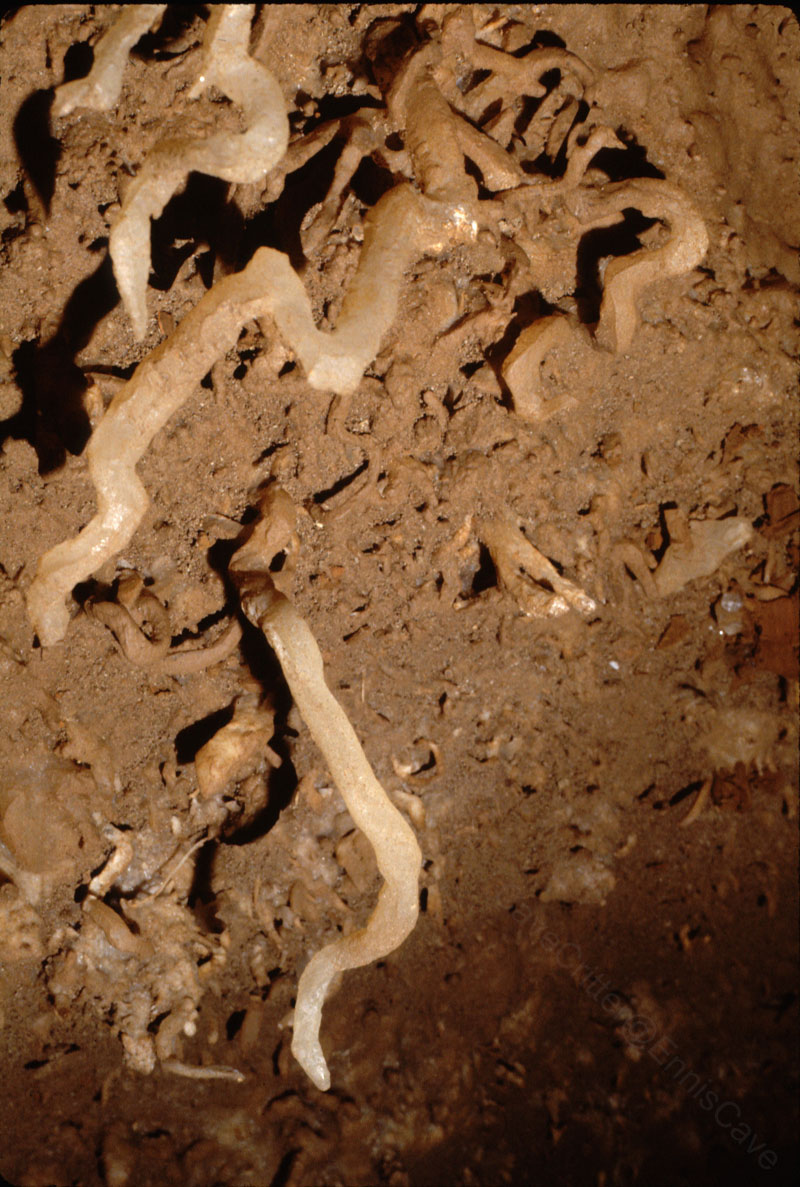 EC-EM-CR-Helectites20