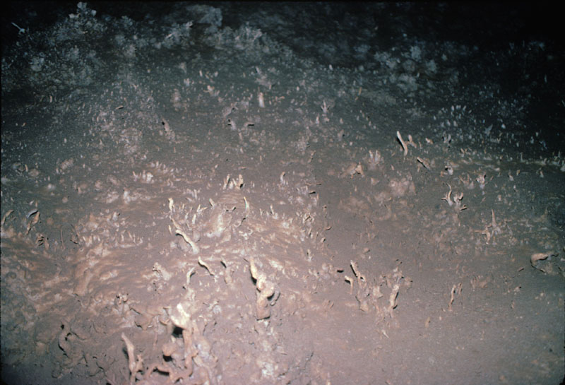 EC-EM-CR-Helectites21