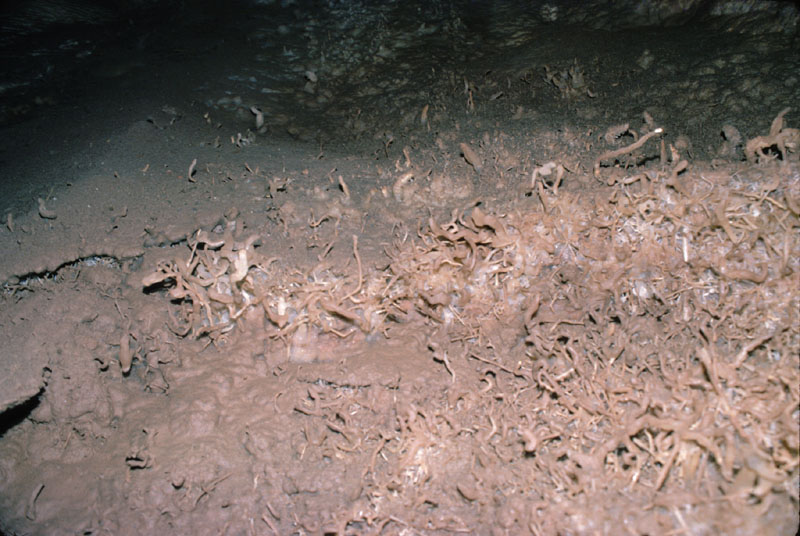 EC-EM-CR-Helectites23