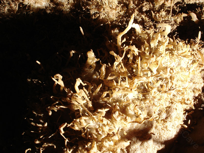 EC-EM-CR-Helectites3