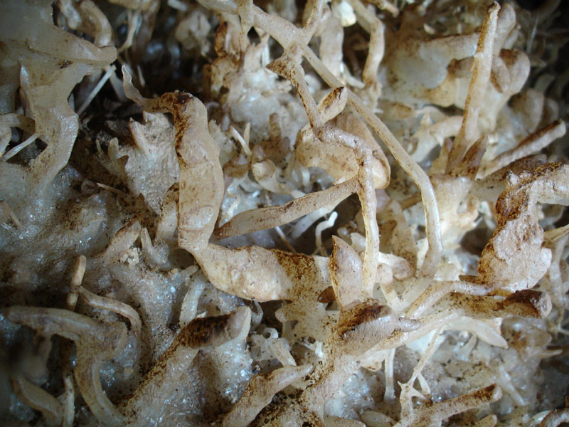 EC-EM-CR-Helectites34