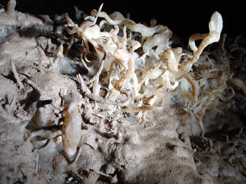EC-EM-CR-Helectites35