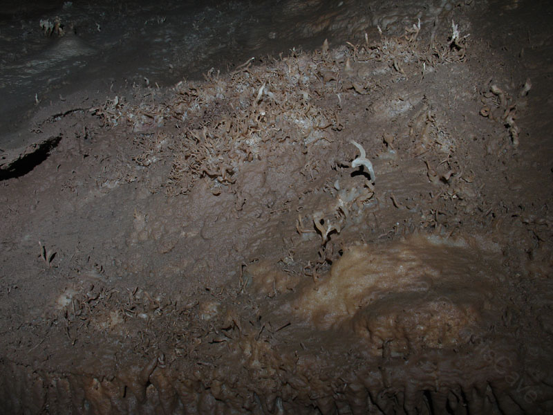EC-EM-CR-Helectites38