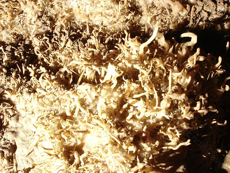EC-EM-CR-Helectites4