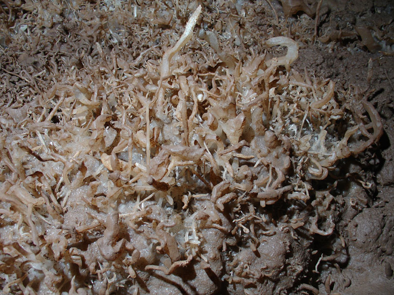 EC-EM-CR-Helectites42