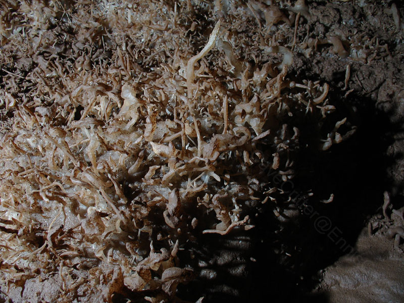 EC-EM-CR-Helectites43