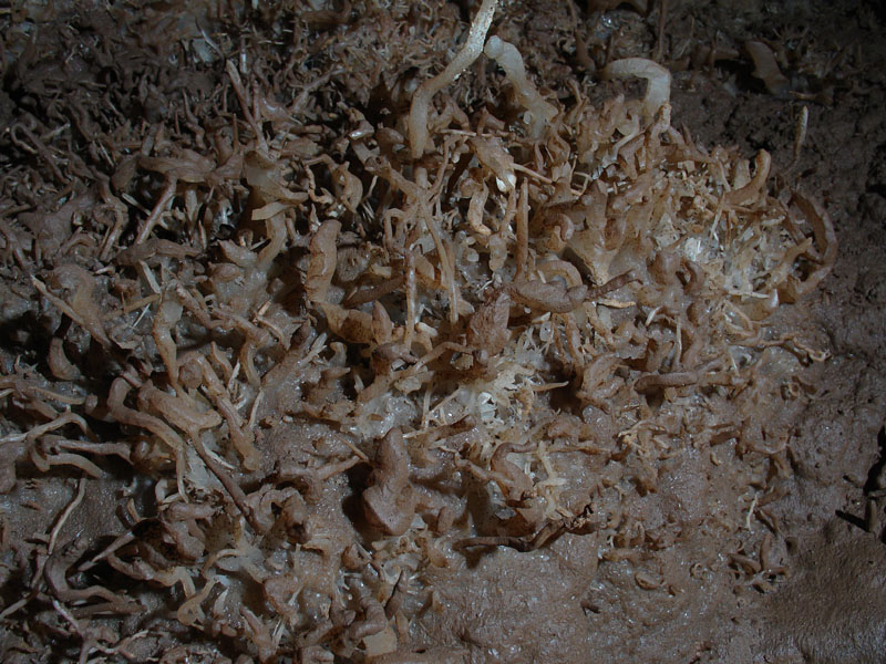 EC-EM-CR-Helectites44