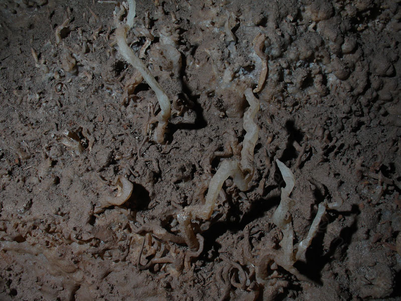 EC-EM-CR-Helectites45