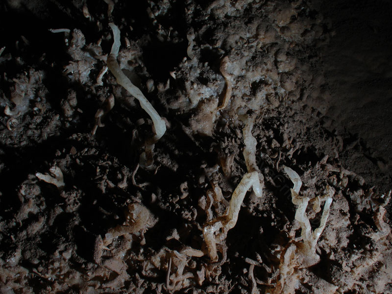EC-EM-CR-Helectites47