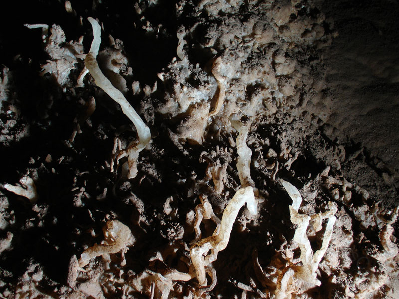 EC-EM-CR-Helectites48