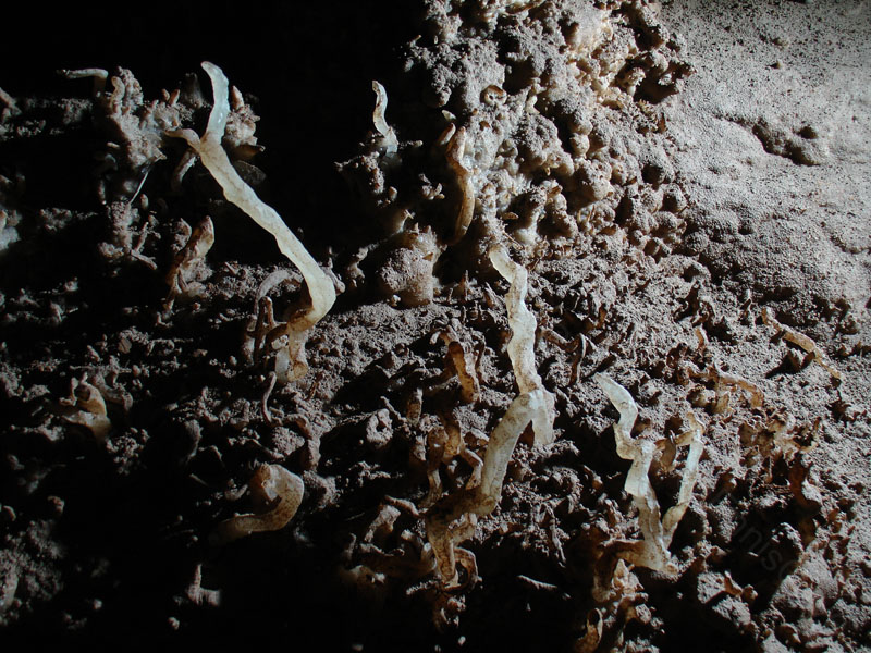 EC-EM-CR-Helectites49