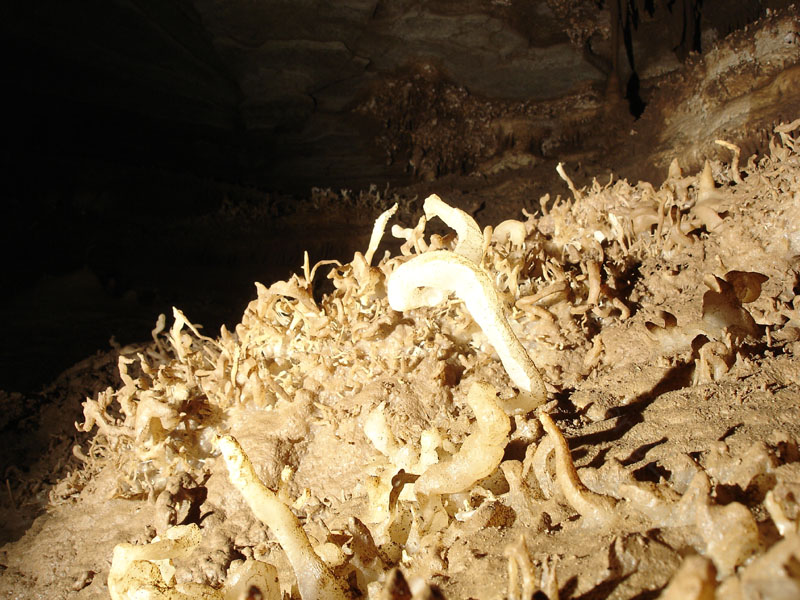 EC-EM-CR-Helectites6