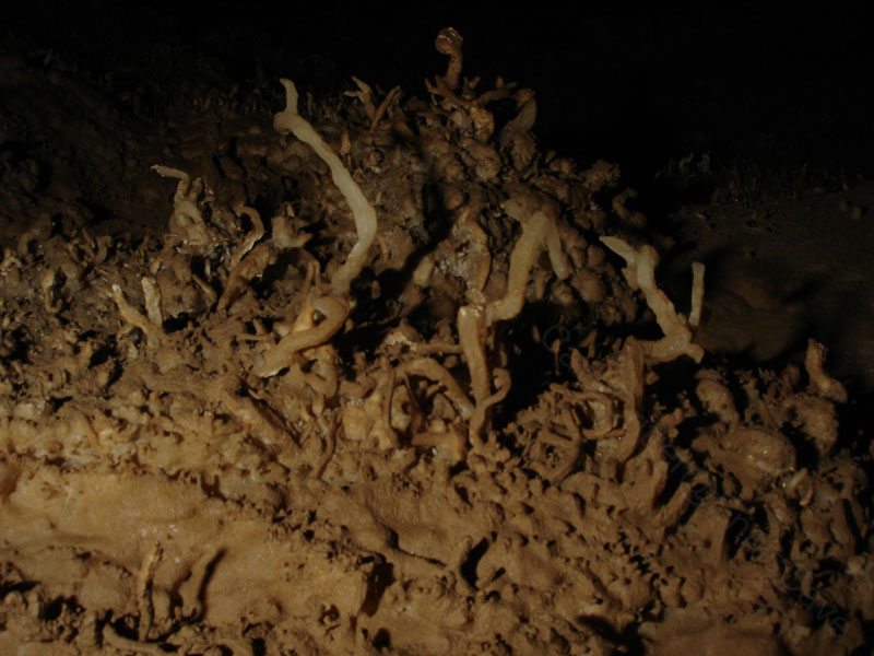 EC-EM-CR-Helectites7