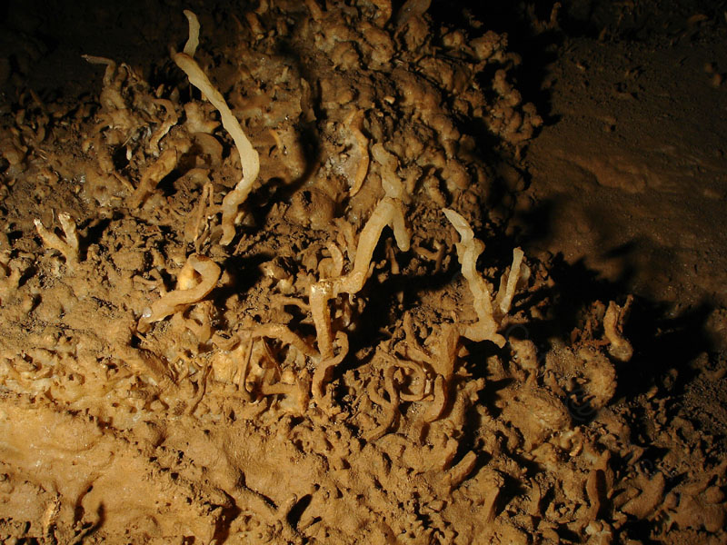EC-EM-CR-Helectites8