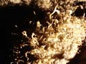 EC-EM-CR-Helectites3