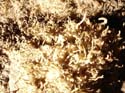 EC-EM-CR-Helectites4