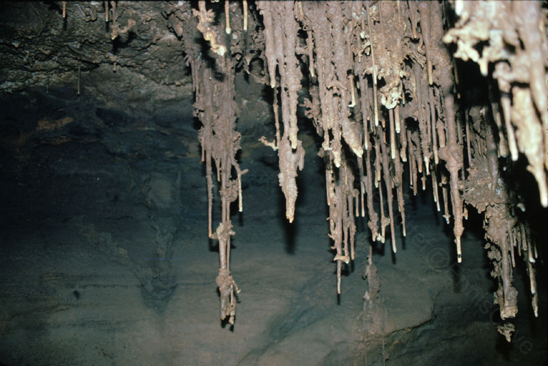 EC-EM-PS-Formation11