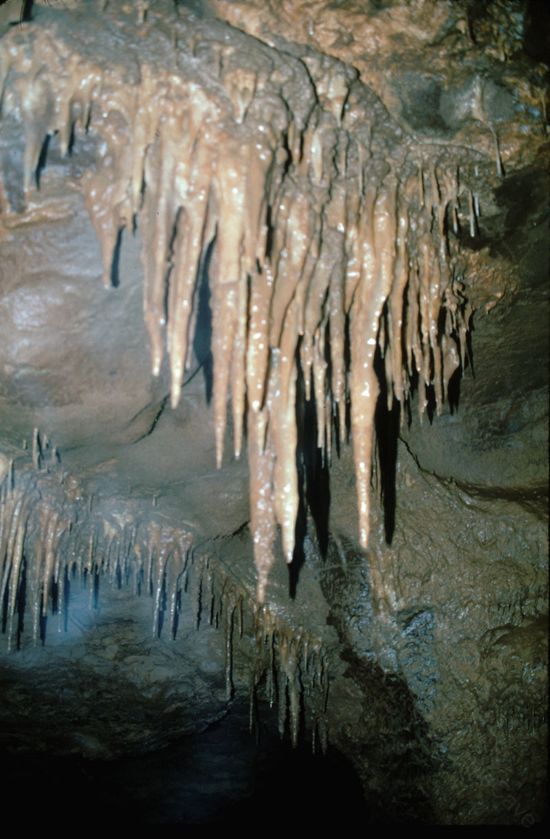 EC-EM-PS-Formation14