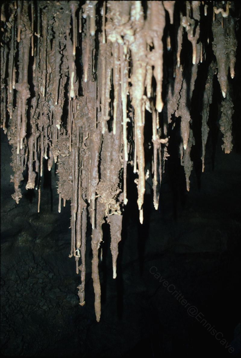 EC-EM-PS-Formation4
