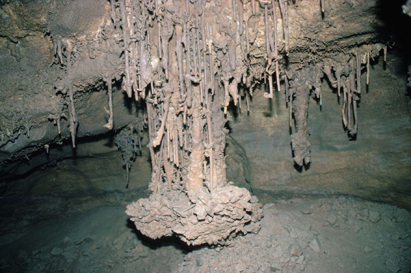EC-EM-PS-Formation5