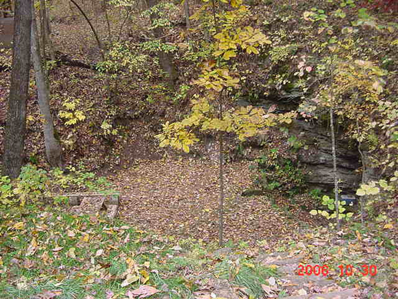 DSC00184