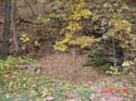 DSC00184