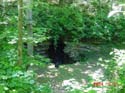 DSC00249