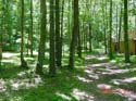 EC-OUTSIDE-Campground52