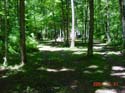 EC-OUTSIDE-Campground54