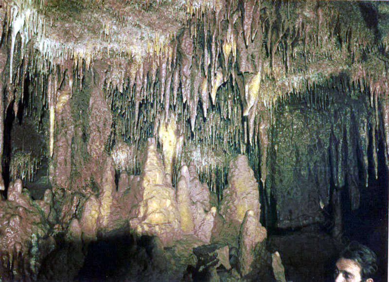 EC-DS-P1-19