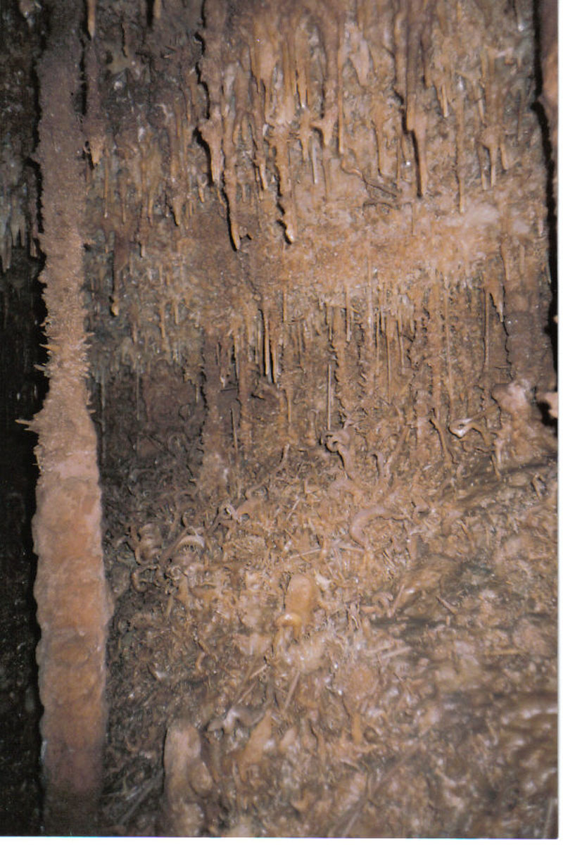 EC-DS-TMH-57