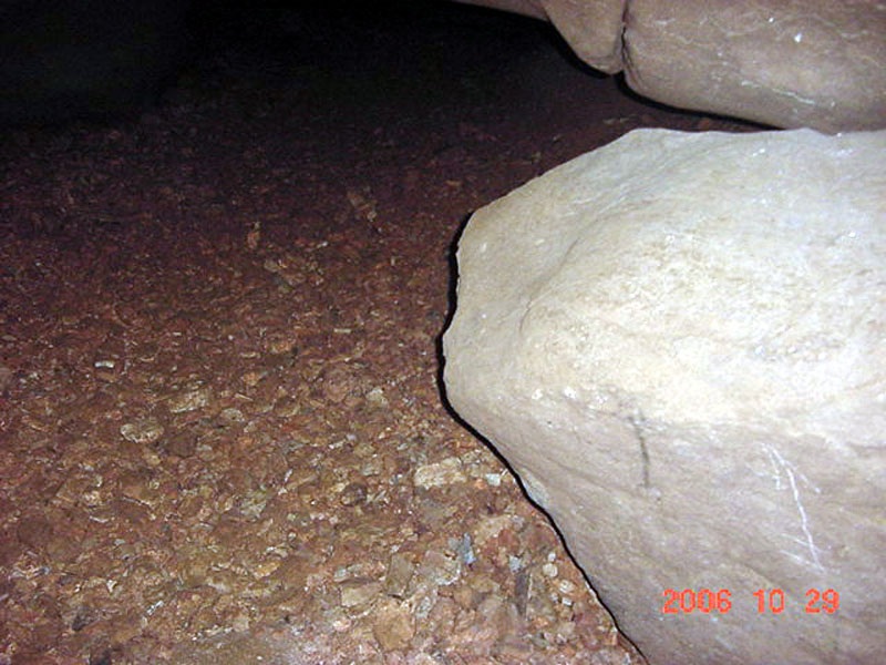 EC-MSP-TSR-Floor1