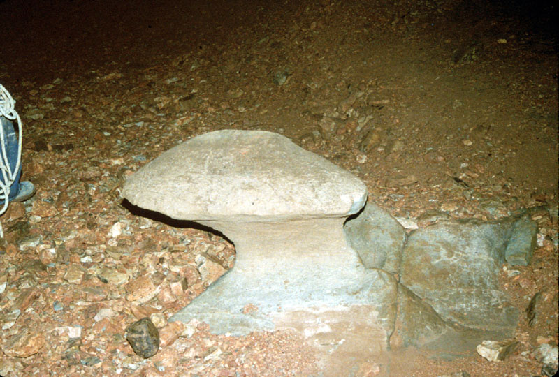 EC-MSP-TSR-Toadstool2