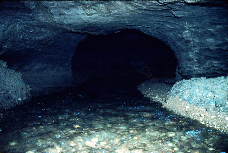 EC-MSP-WVR-Water in Passage1