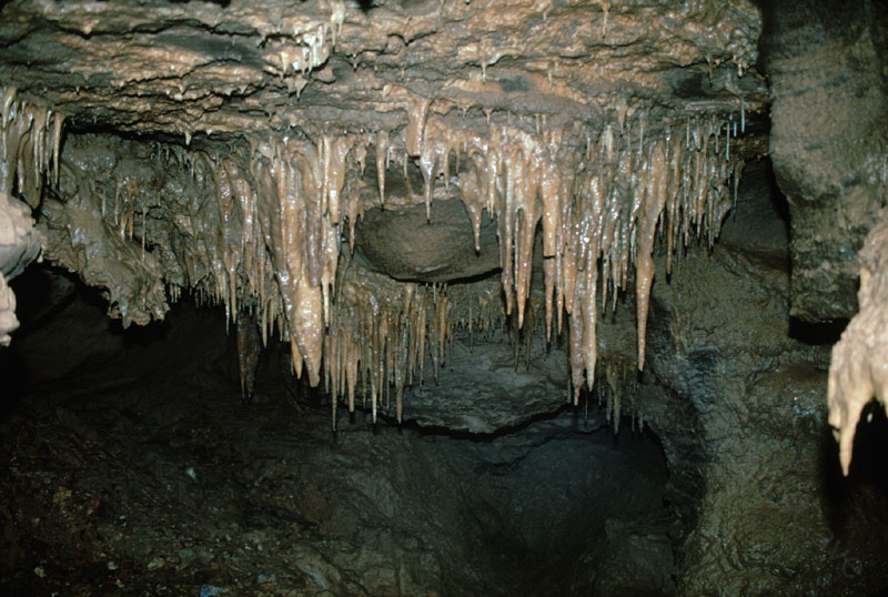 EC-DS-WCH-Stalactites1