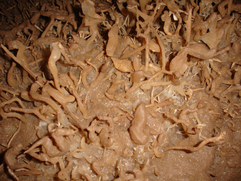 EC-EM-CR-Helectites31